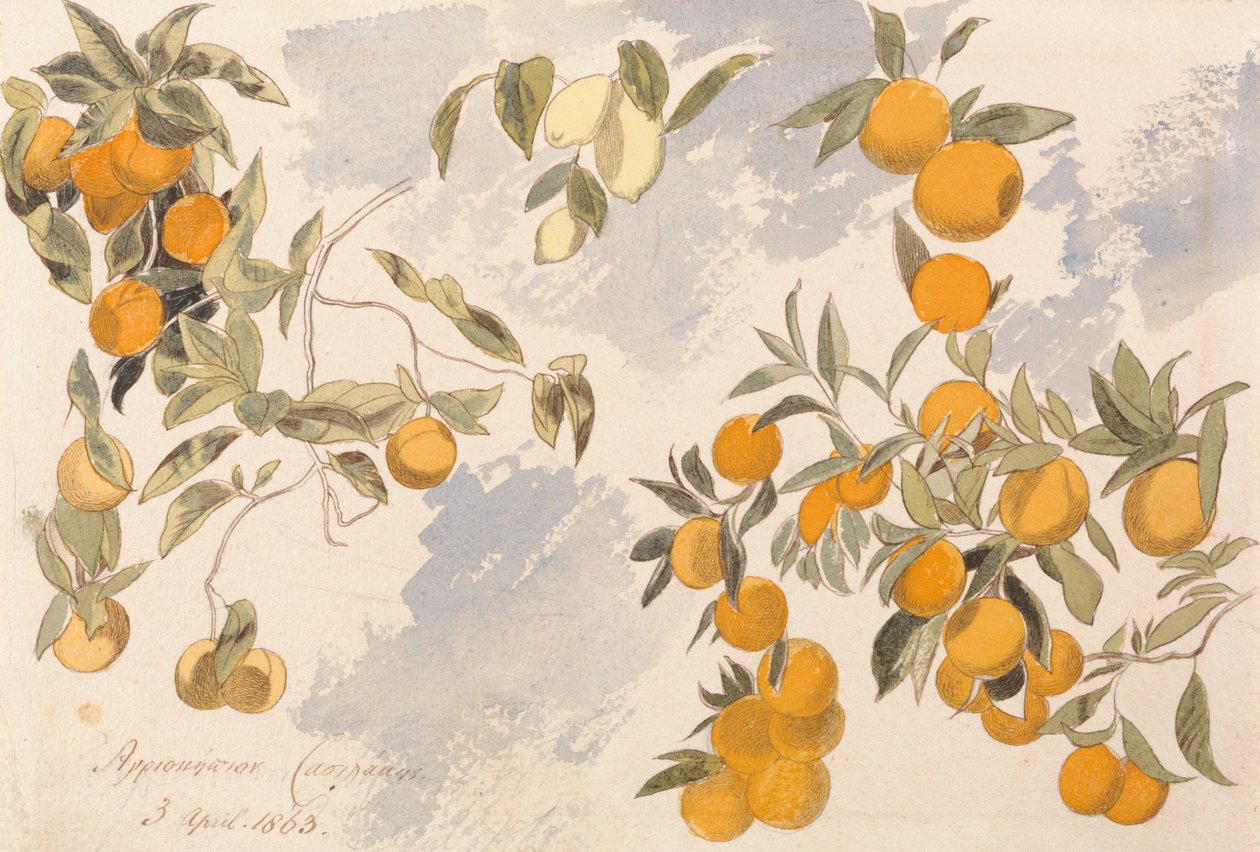Frugttræer, 3. april 1863 af Edward Lear