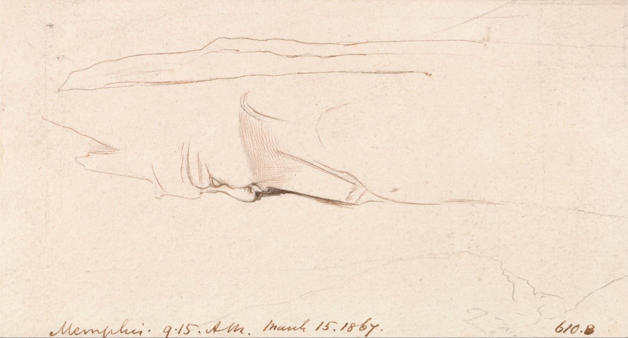 Memphis af Edward Lear