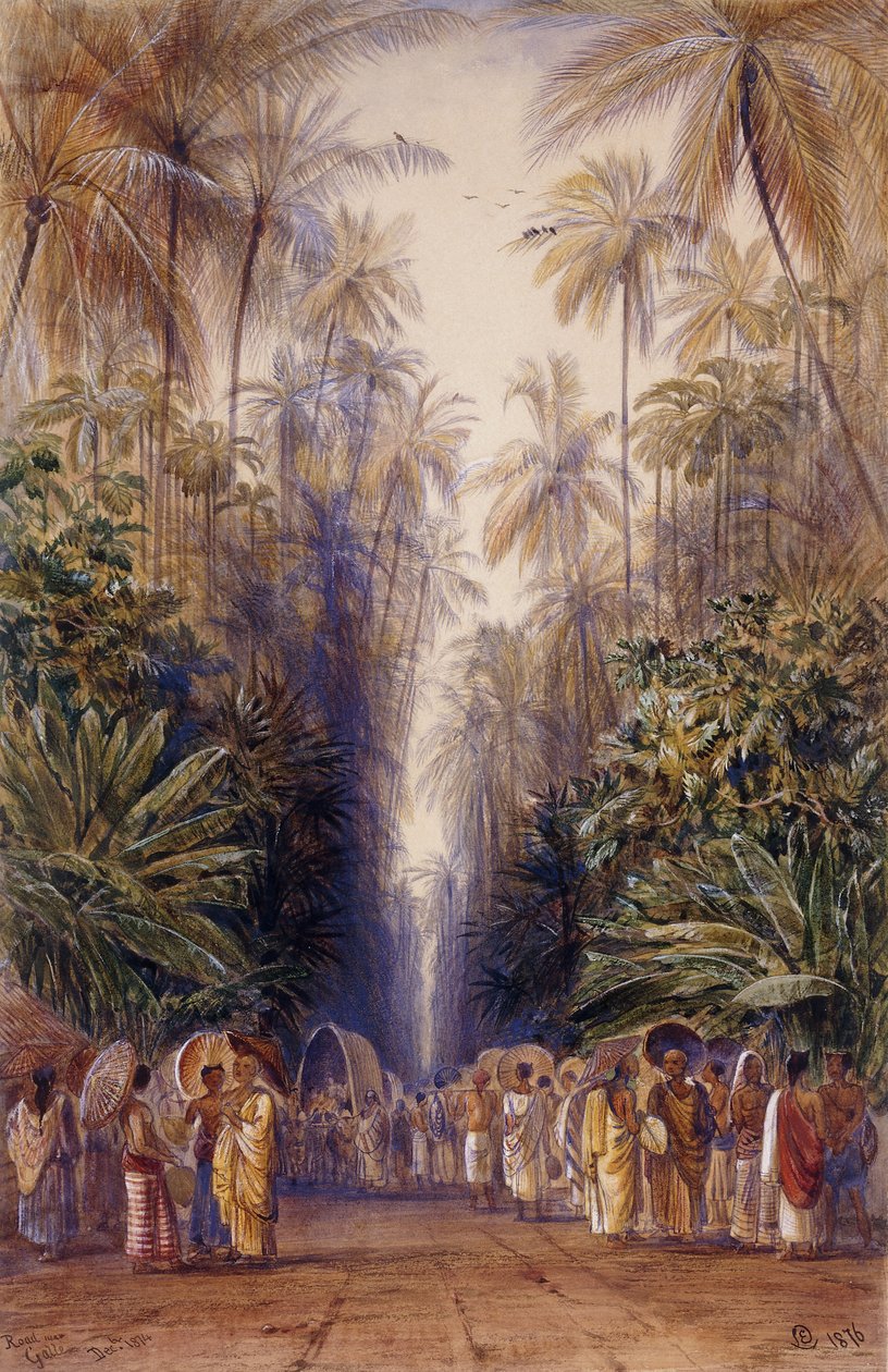 På vej til Galle, Ceylon af Edward Lear