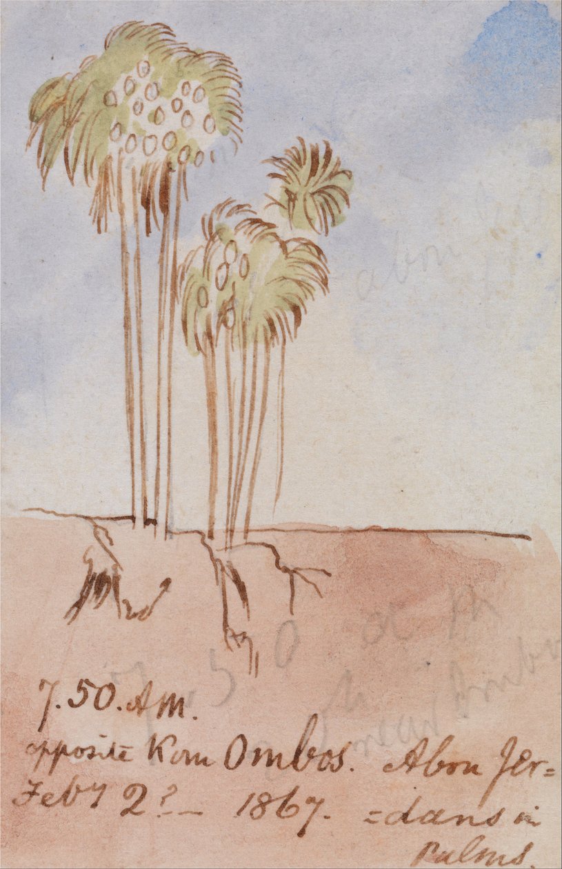 Overfor Kom Ombos Abu Jer af Edward Lear