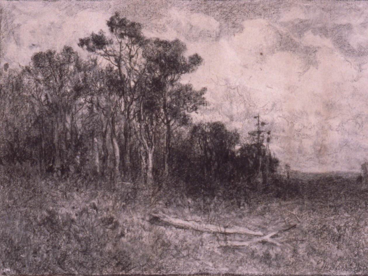 Landskab, skovbillede af Edward Mitchell Bannister