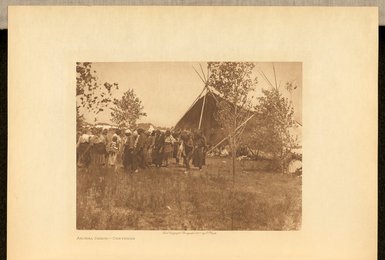 Dyredans - Cheyenne af Edward S. Curtis