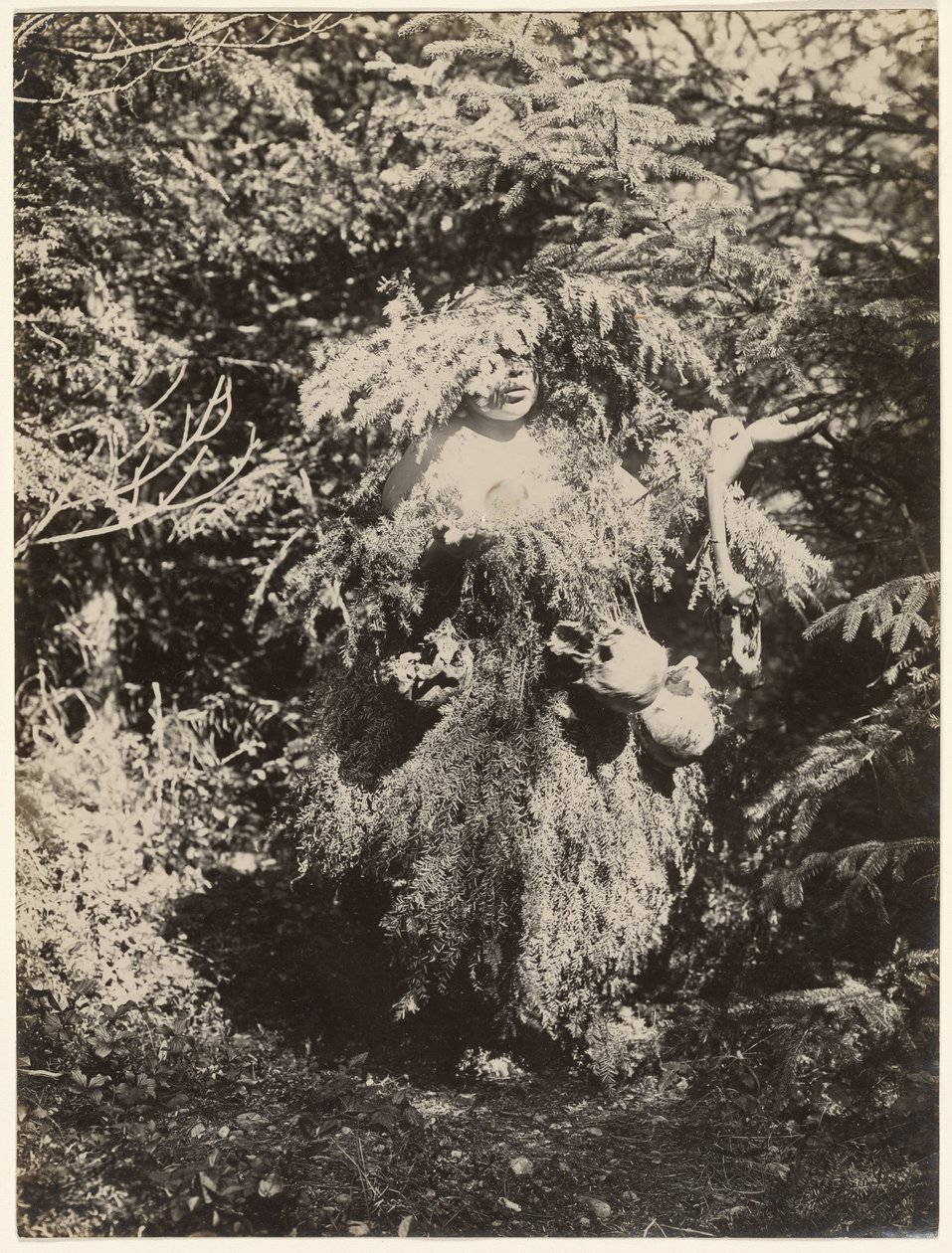 [Ghost Dancer - Kwakiutl] af Edward S. Curtis