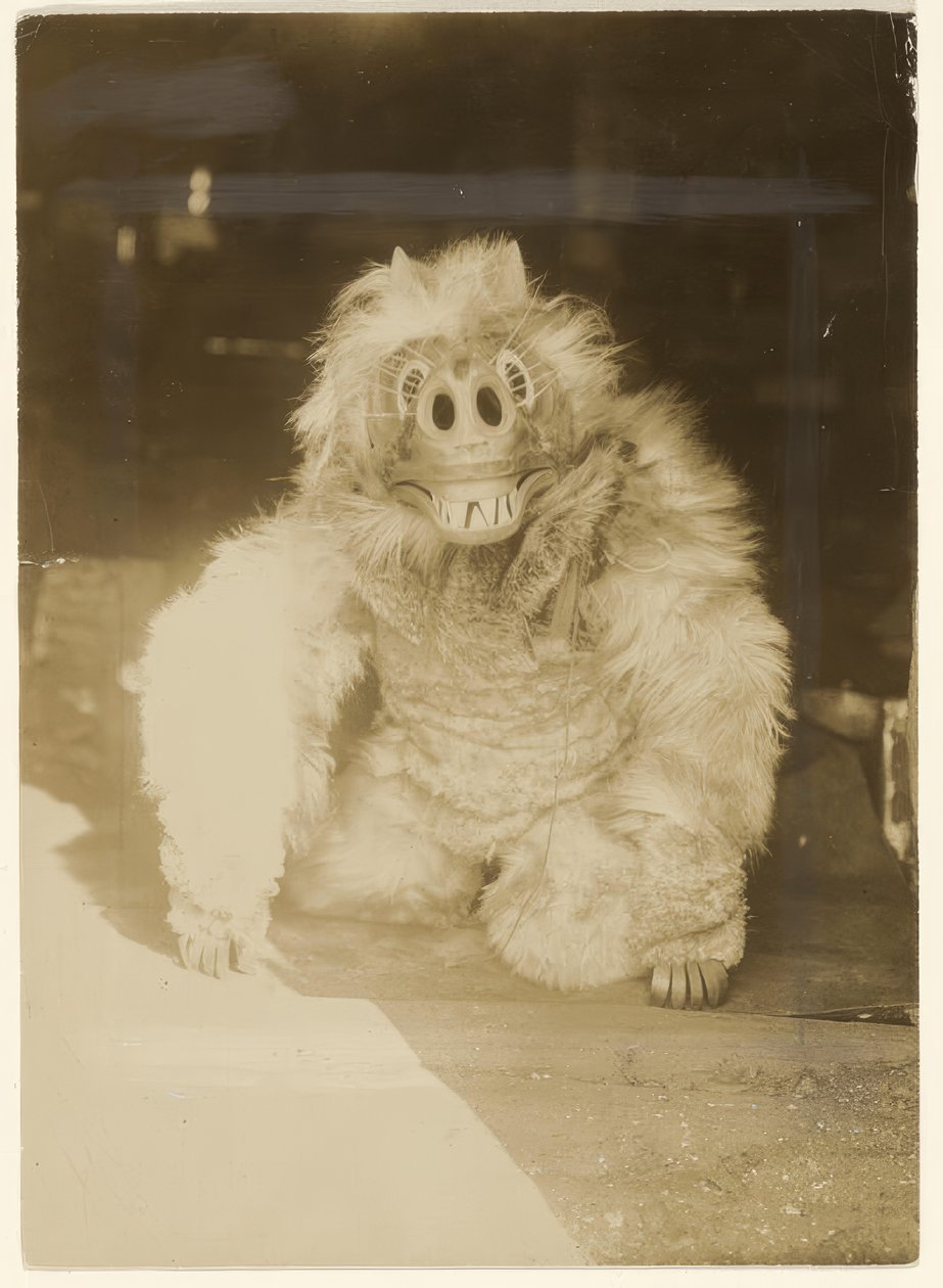 I ulvemasken af Edward S. Curtis