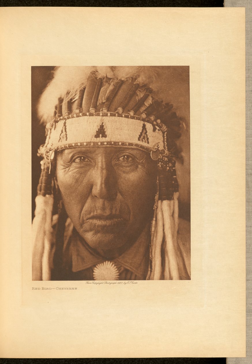 Red Bird - Cheyenne af Edward S. Curtis