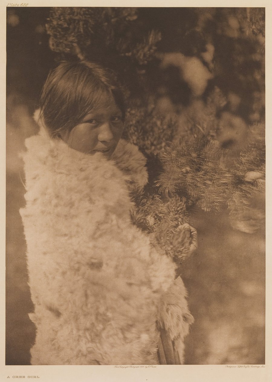 En cree-pige af Edward Sheriff Curtis