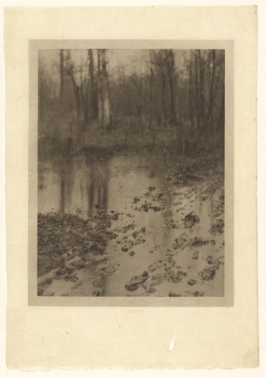 Poolen af Edward Steichen