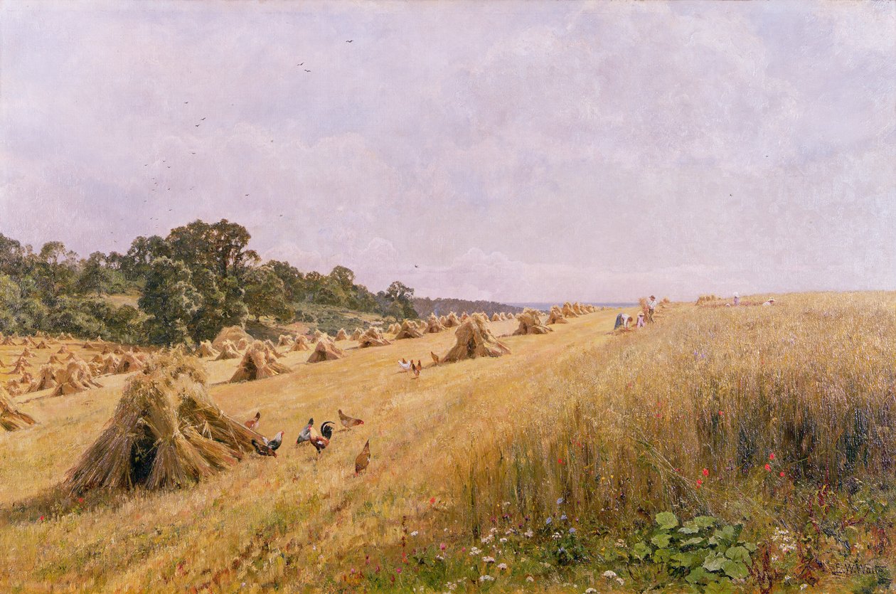 Kornmarkshøst af Edward Wilkins Waite