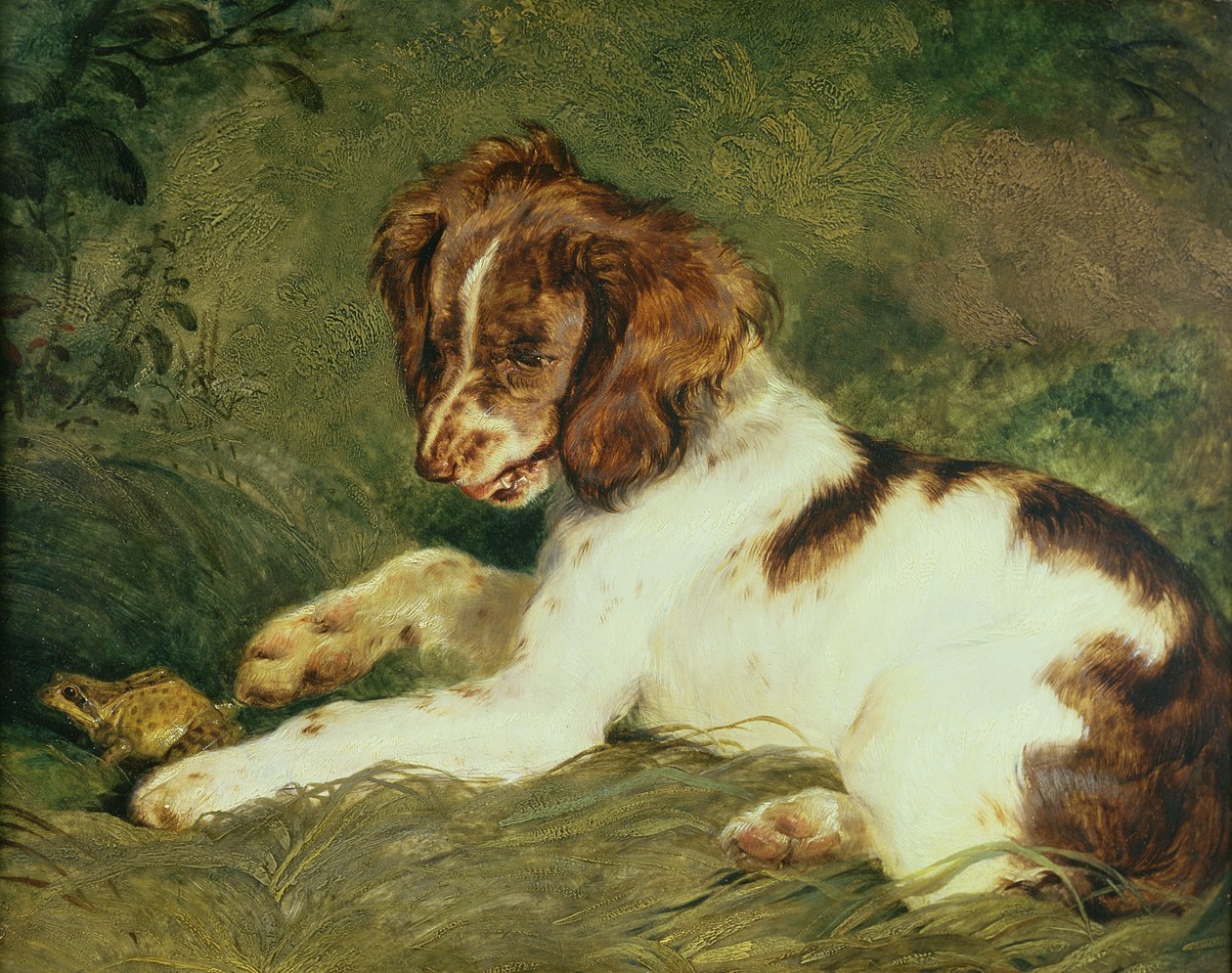 En hvalp driller en frø, 1824 (panel) af Edwin Landseer