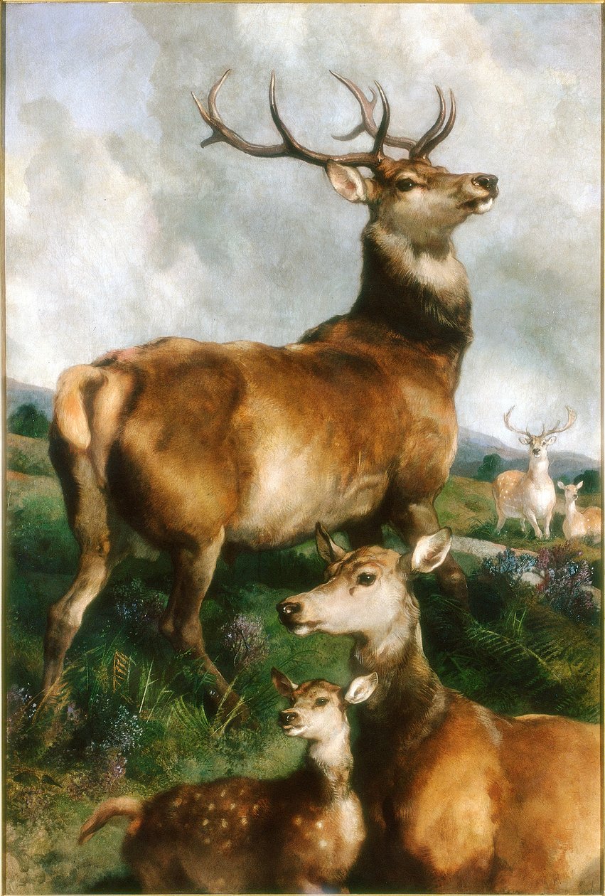 Deer of Chillingham Park, Northumberland, ca. 1867 af Edwin Landseer