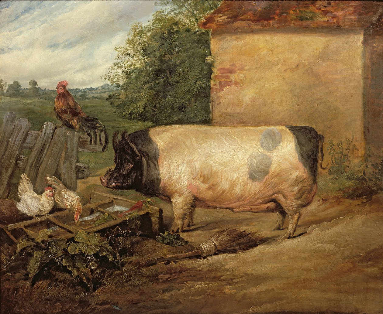 Portræt af en præmiesvin, tilhørende Squire Weston of Essex, 1810 af Edwin Landseer