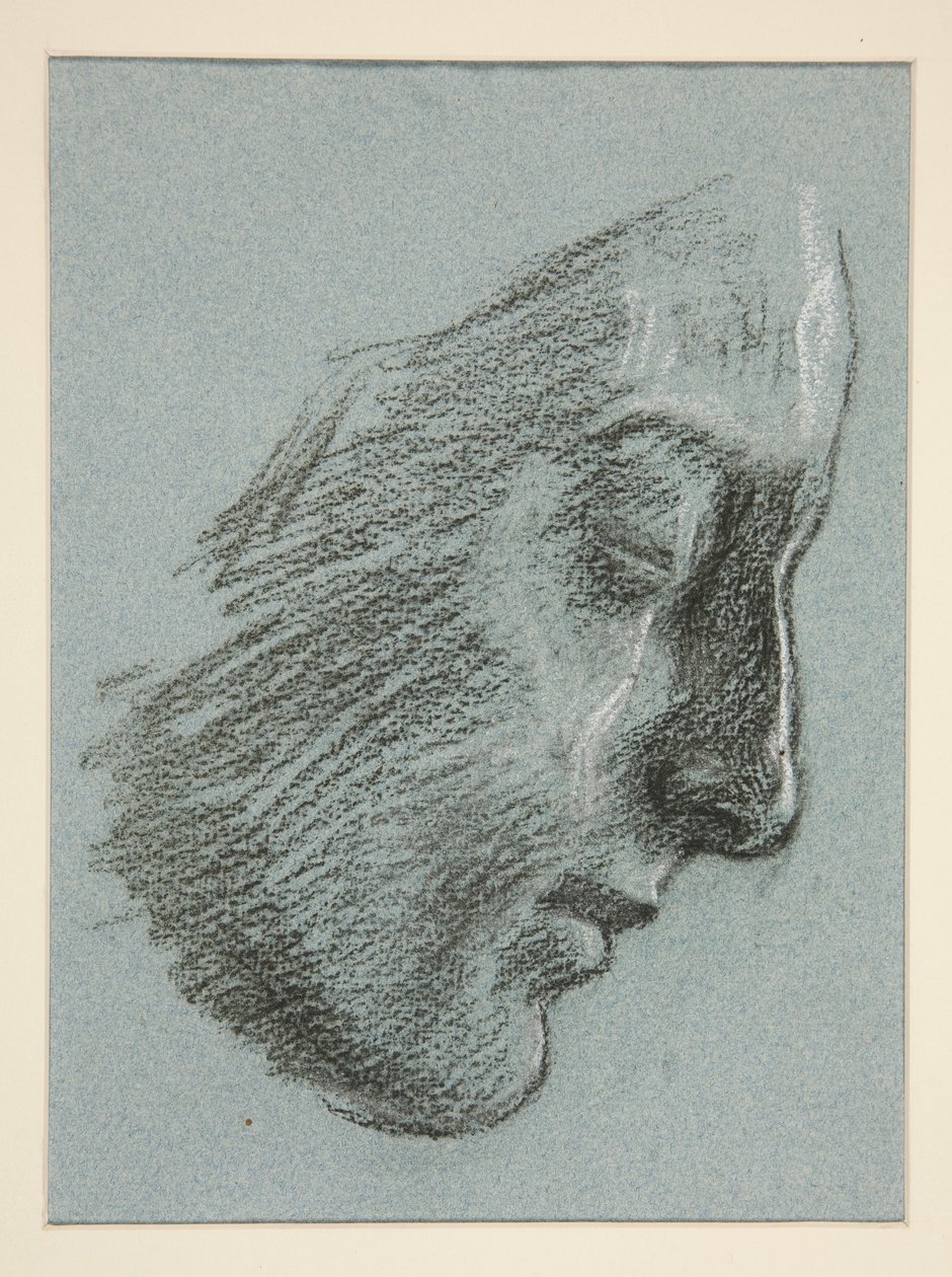 Profil af en ung kvinde af Edwin Austin Abbey