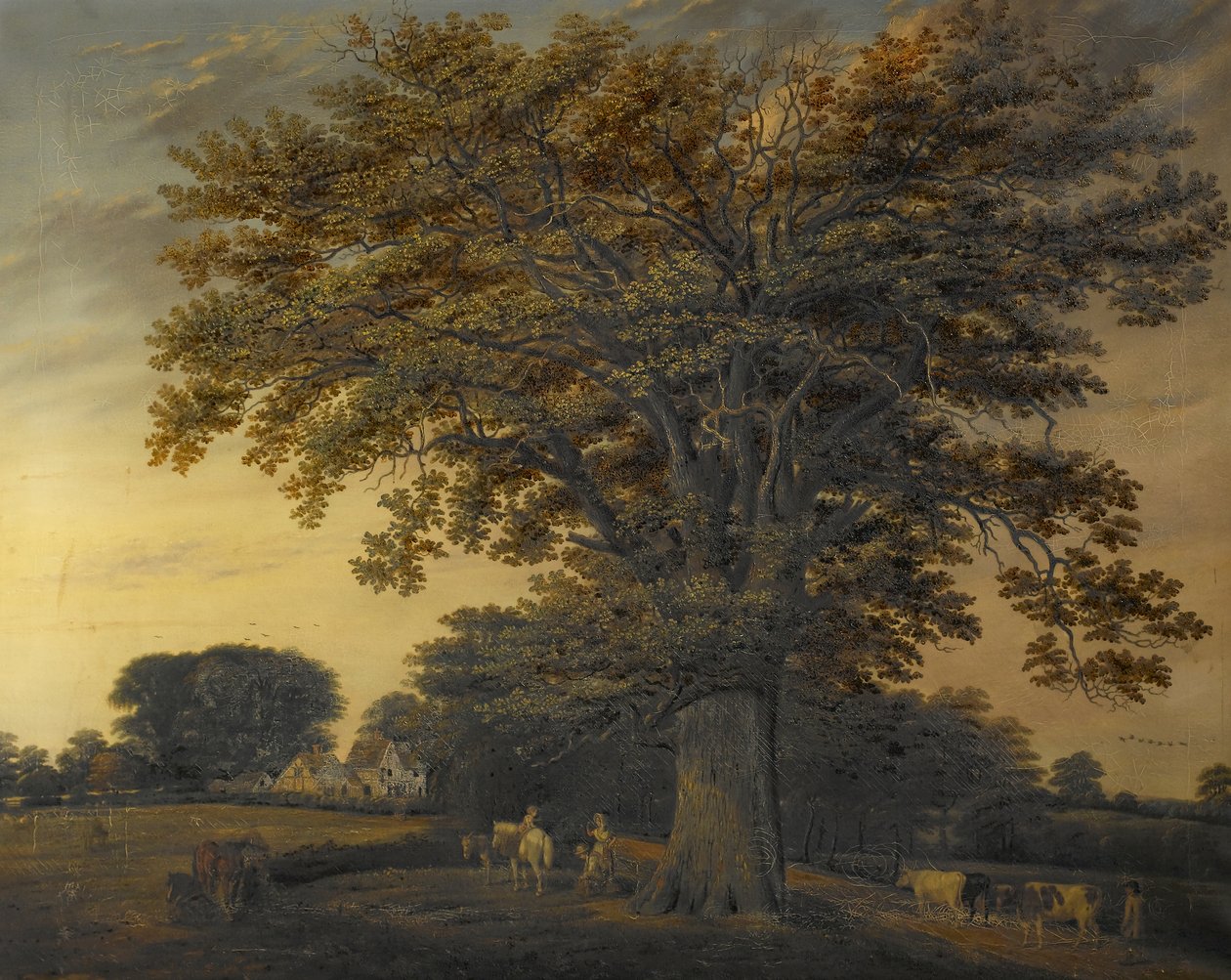 Binley Oak, 1848 af Edwin Brown
