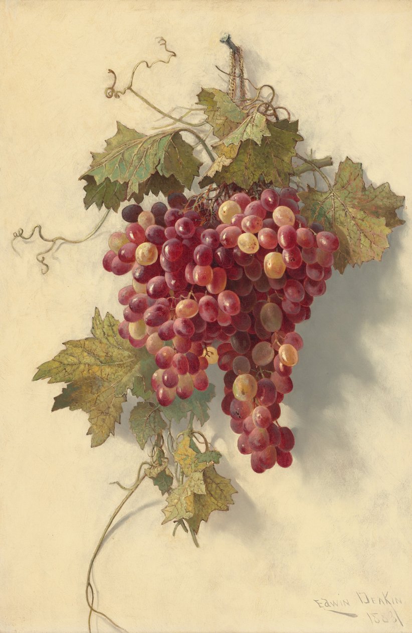Druer mod hvid væg, 1883. af Edwin Deakin