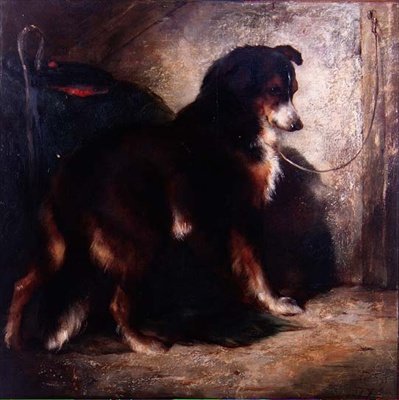 Shepherd