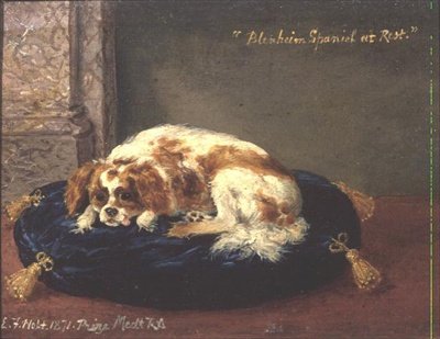 Blenheim Spaniel i hvile af Edwin Frederick Holt
