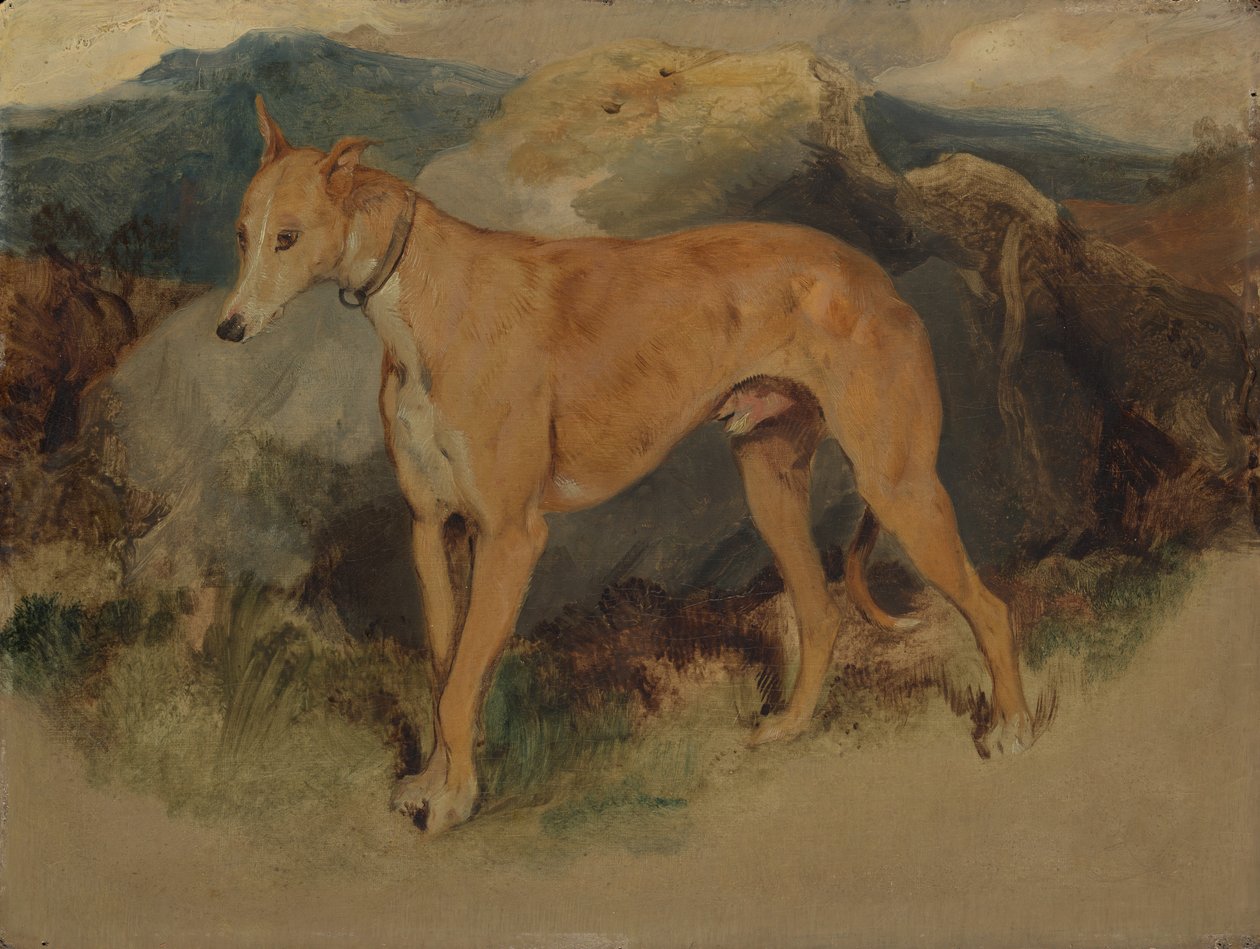 En hjortehund, 1826. af Edwin Landseer