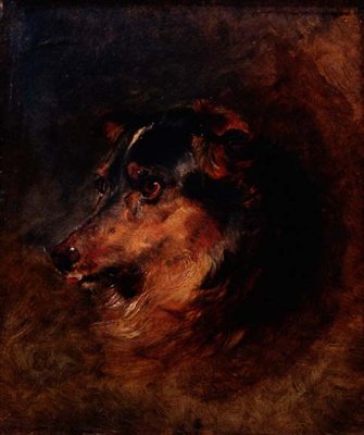 En hovedundersøgelse af en colliehund af Edwin Landseer