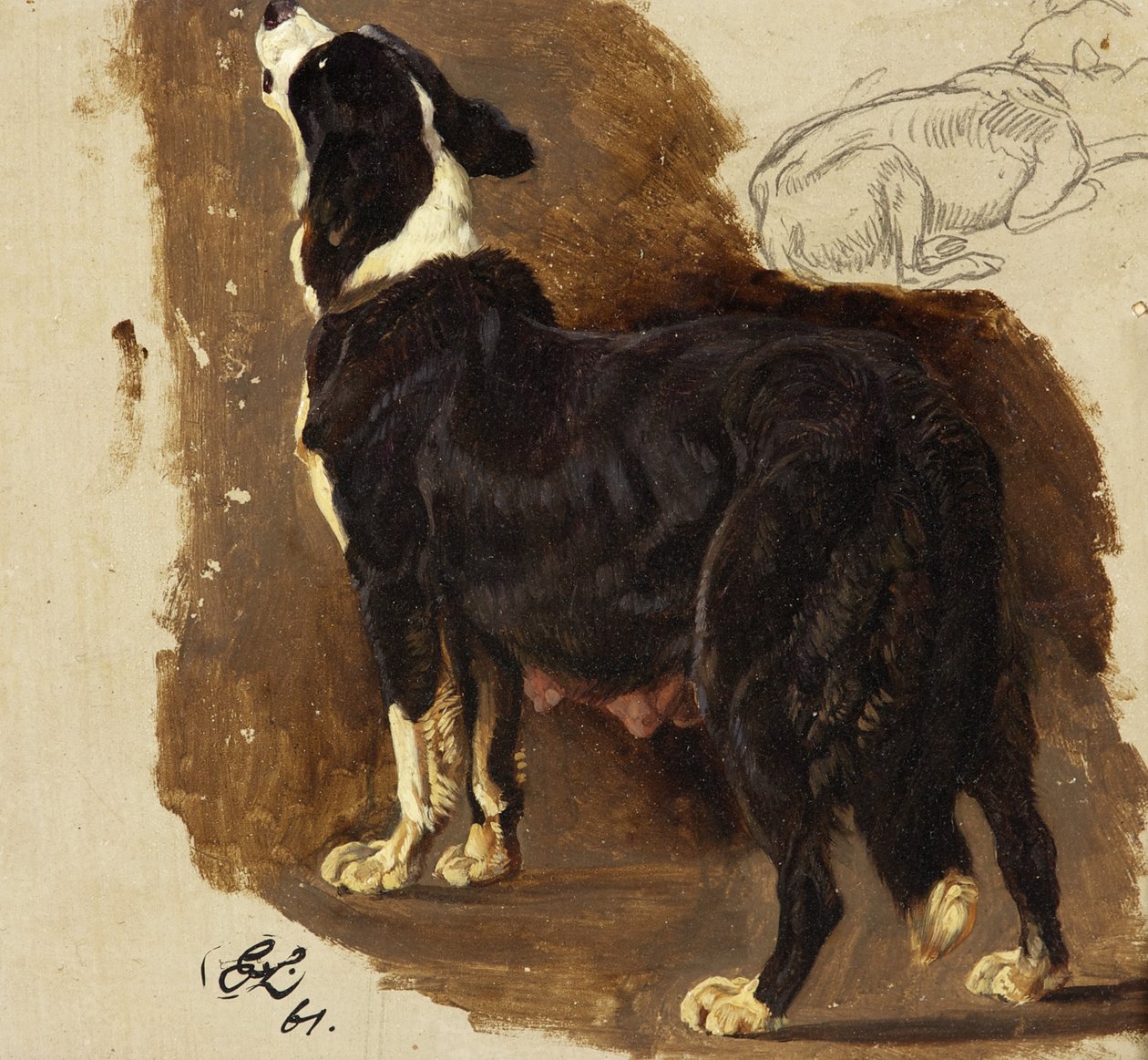 Collie Bitch (olie og blyant på kort) af Edwin Landseer