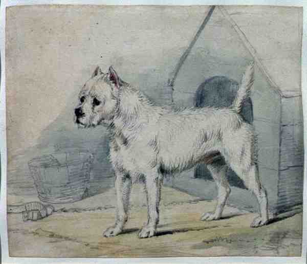 Hund uden for en kennel (blyant og vask) af Edwin Landseer