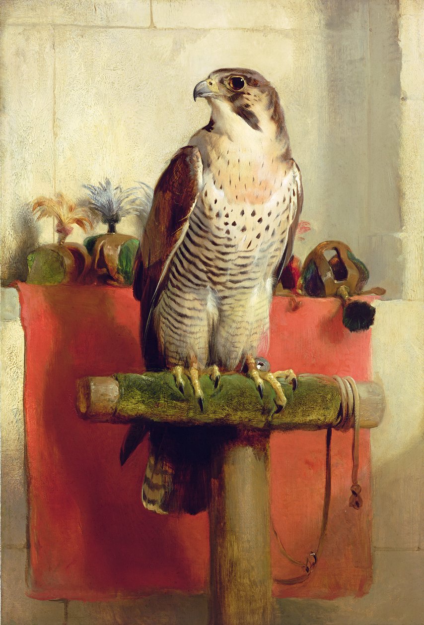 Falcon, 1837 af Edwin Landseer