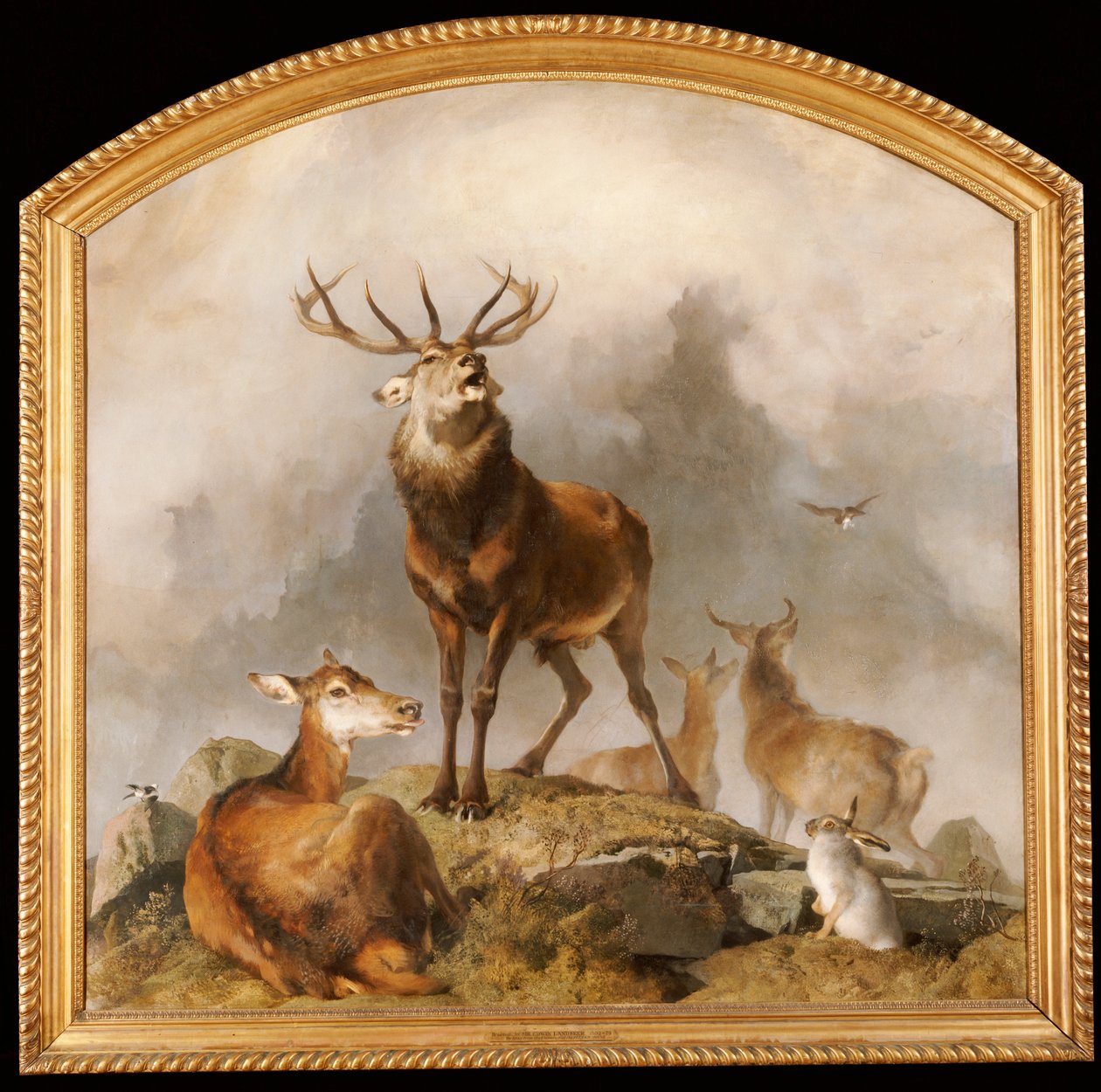 Scene i Braemar - Highland Deer af Edwin Landseer