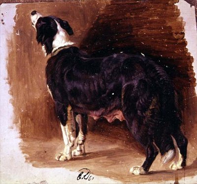 Skitse af en Collie af Edwin Landseer