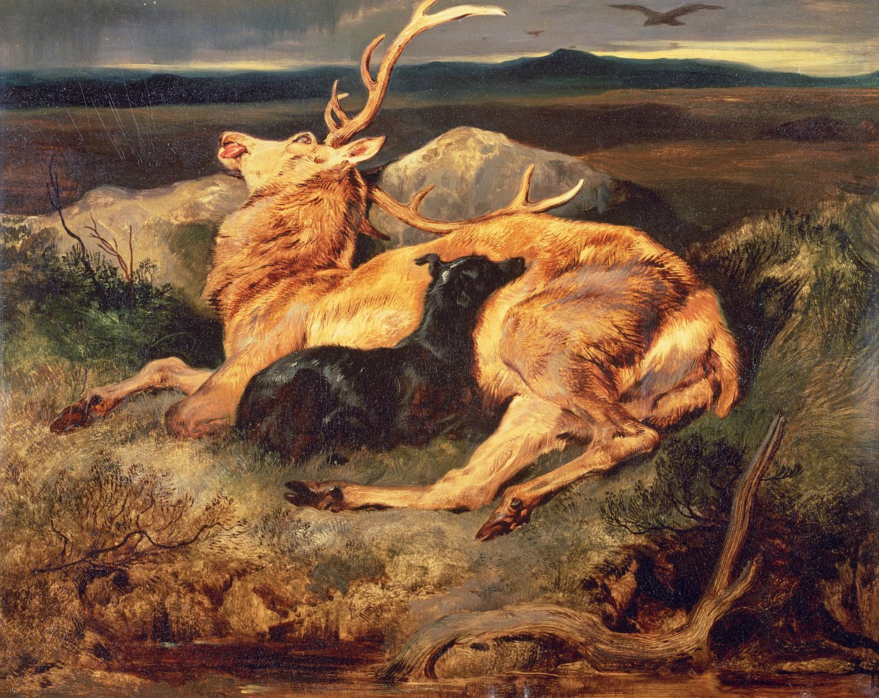 Hjort af Edwin Landseer