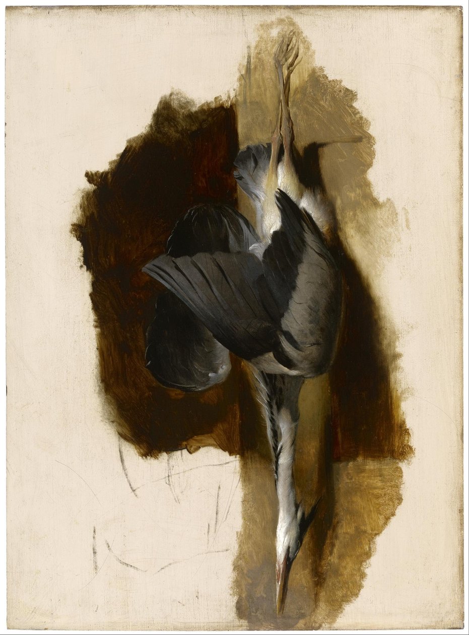 Studie af en død hejre af Edwin Landseer