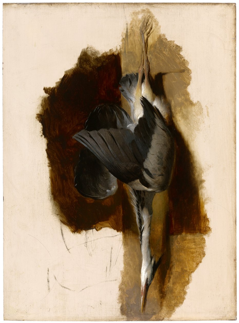 Studie af en død hejre, ca. 1832-33 af Edwin Landseer