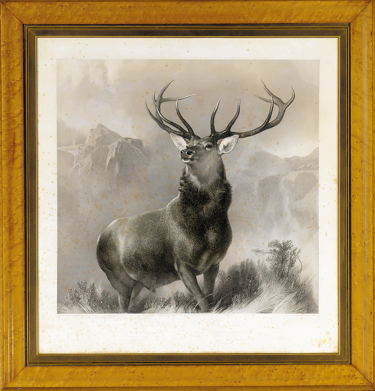 The Monarch of the Glen, 1852 af Edwin Landseer