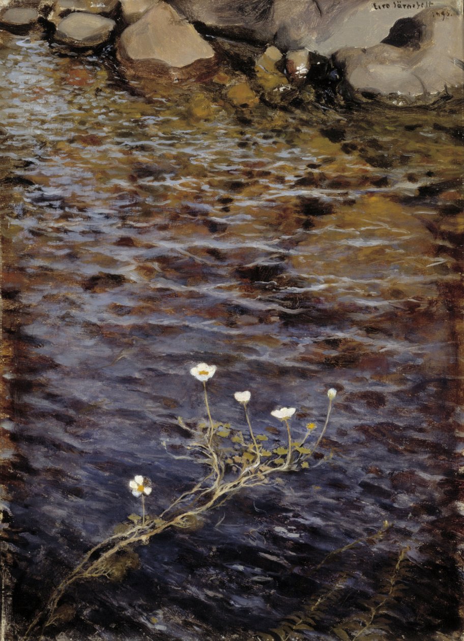 Dam Vand Crowfoot af Eero Järnefelt