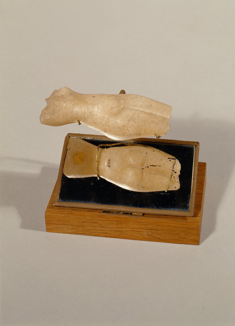 Torso af en kvinde, New Kingdom (alabaster) af Egyptian 18th Dynasty
