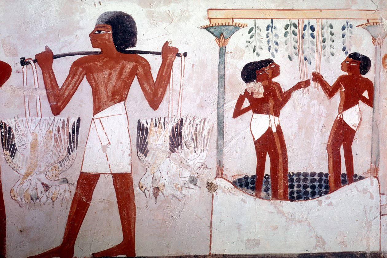 Ukendt billede af Egyptian 18th Dynasty