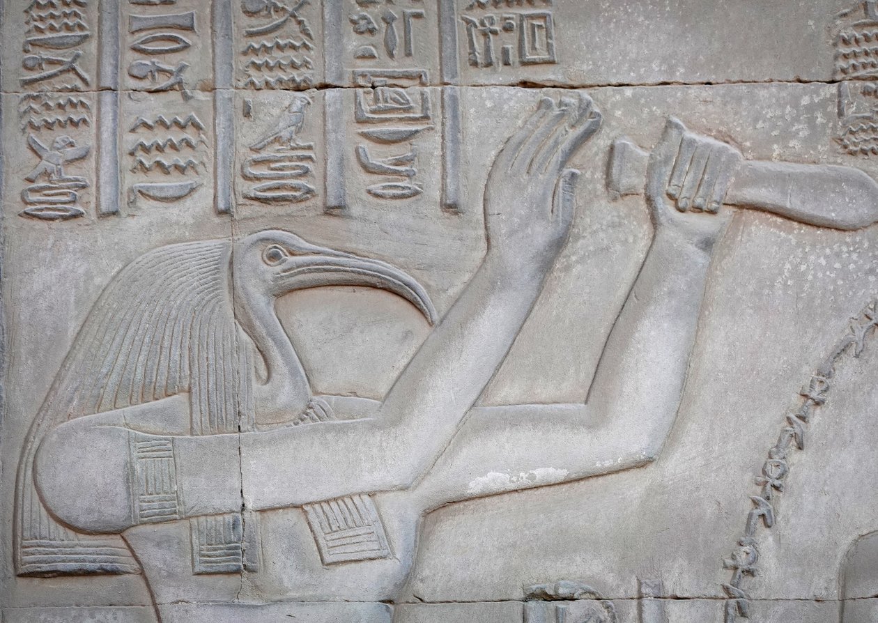 Thot, Kom Ombo-templet (relief) af Egyptian Egyptian