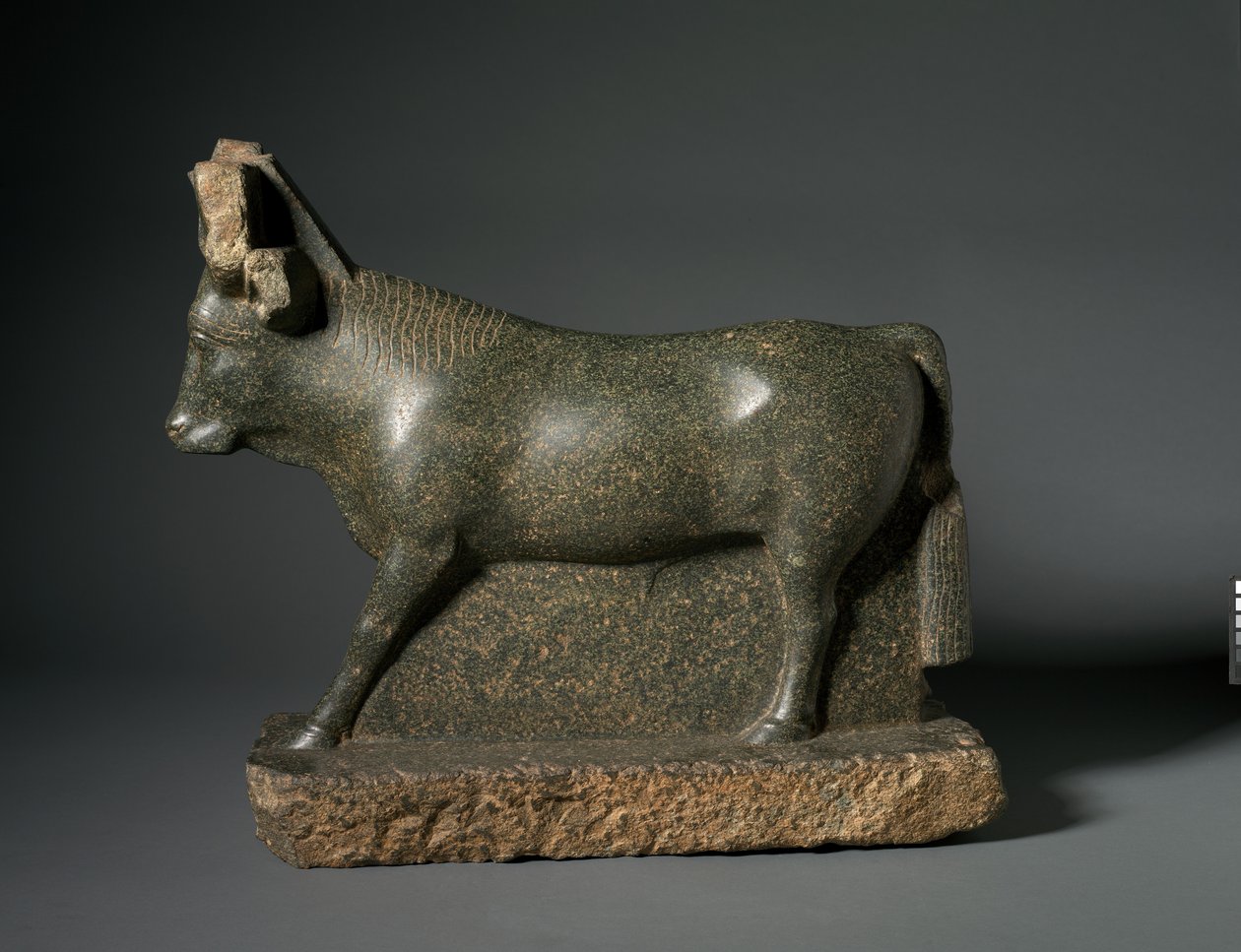 Apis Bull, 400-100 f.Kr. (serpentinit) af Egyptian Ptolemaic Period