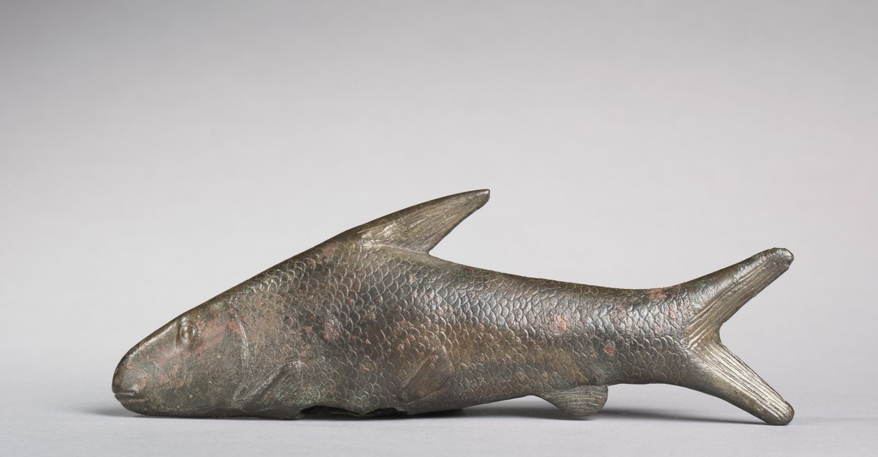 Lepidotus fisk, græsk-romersk periode, 305-30 f.Kr af Egyptian Ptolemaic Period