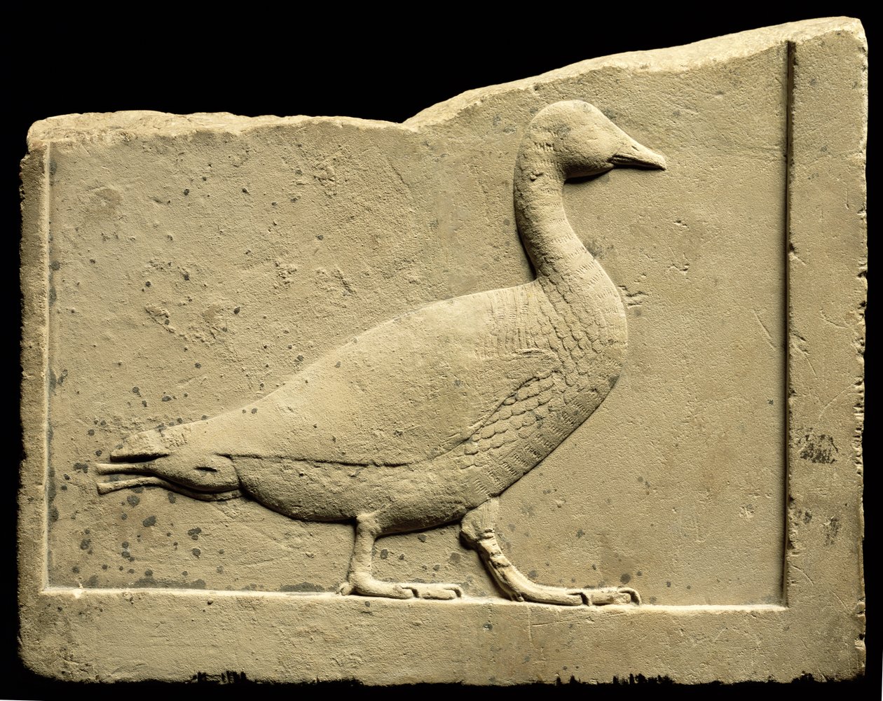 Relief forestillende en gås (kalksten) af Egyptian Ptolemaic Period