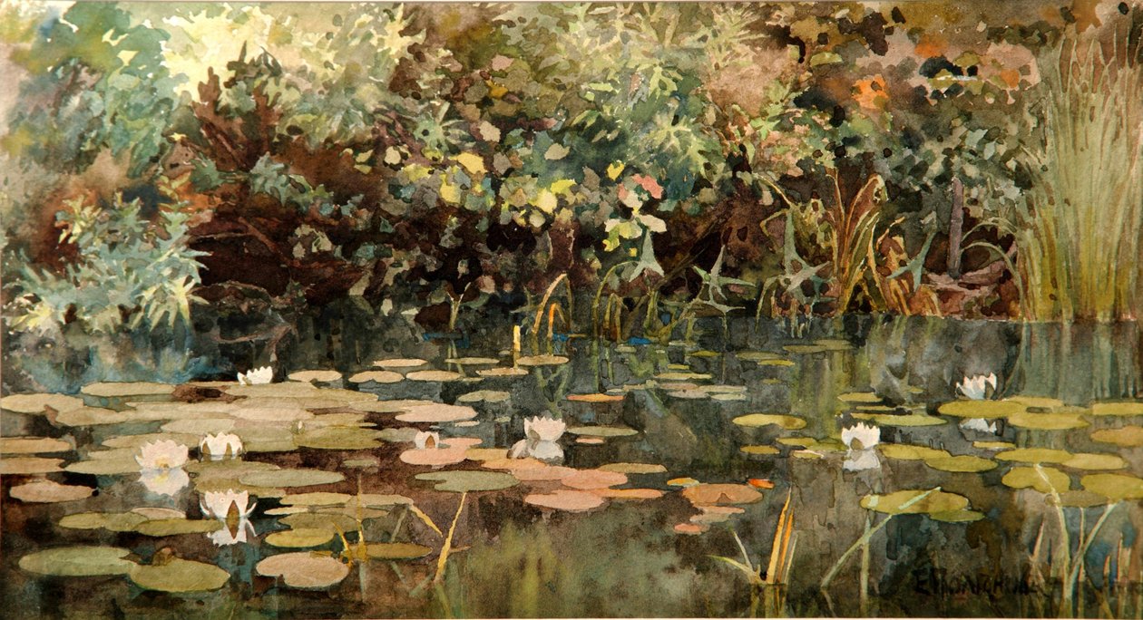 Dam med åkander, begyndelsen af 1890