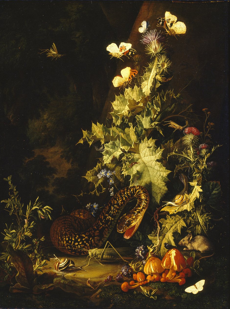 Stilleben med en slange af Elias van den Broeck