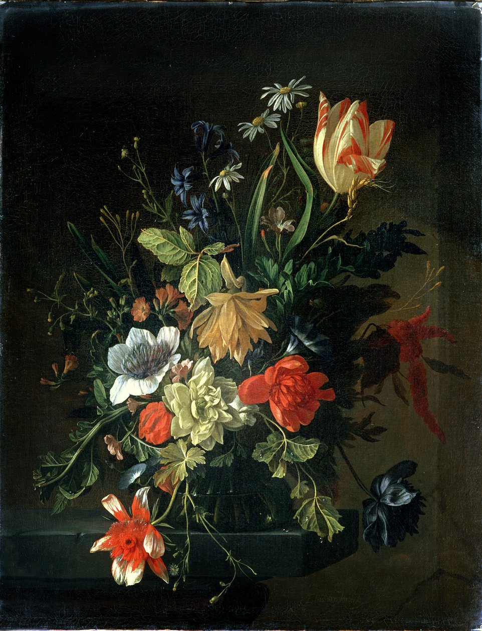 Ukendt billede af Elias van den Broeck