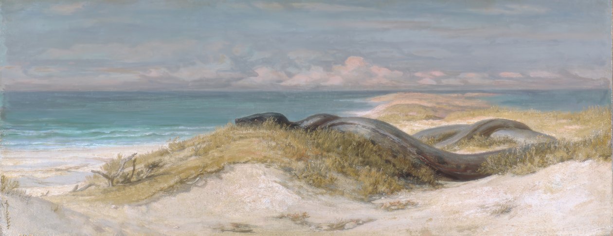 Søormens hule af Elihu Vedder