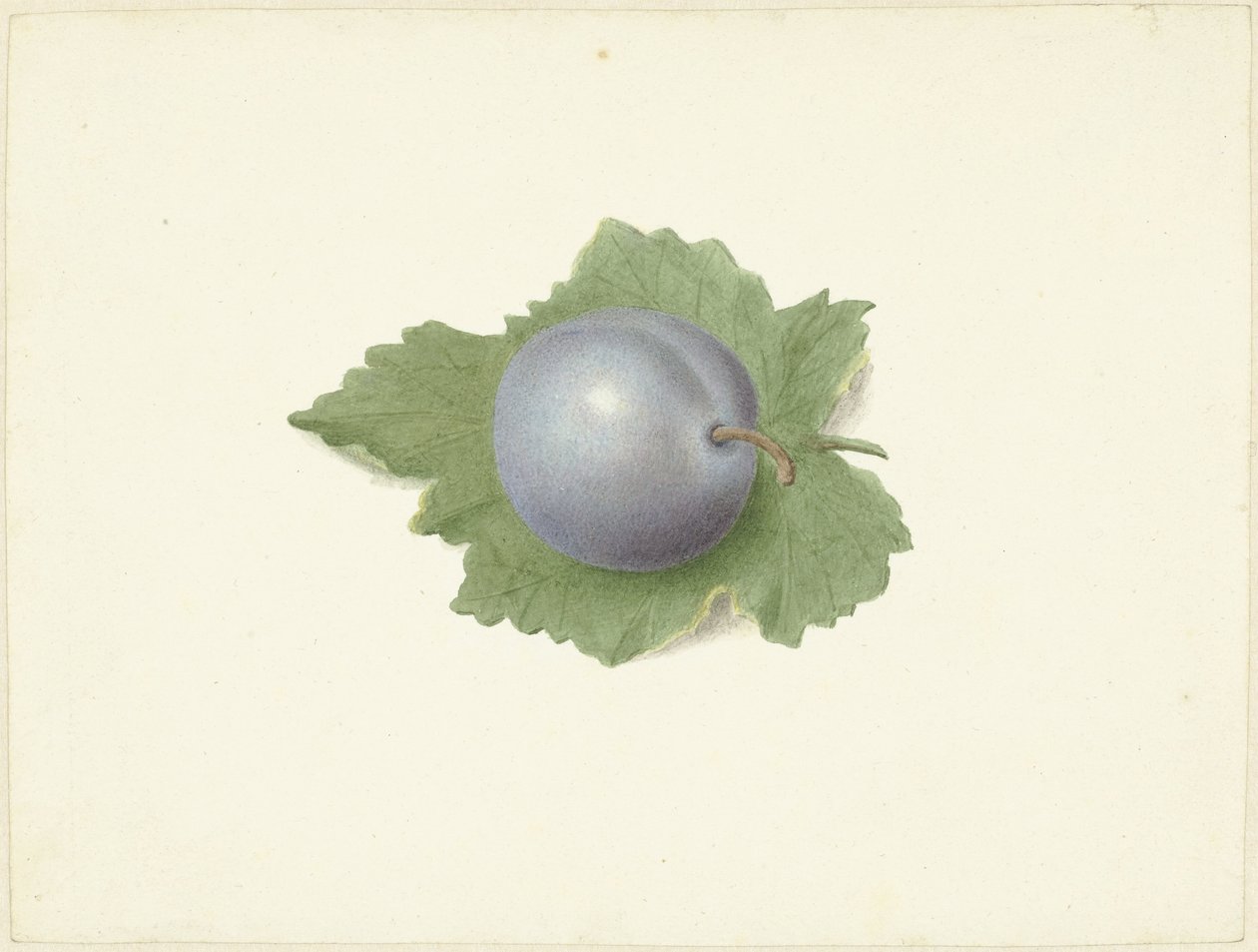 Blomme på et blad af Elisabeth Geertruida van de Kasteele