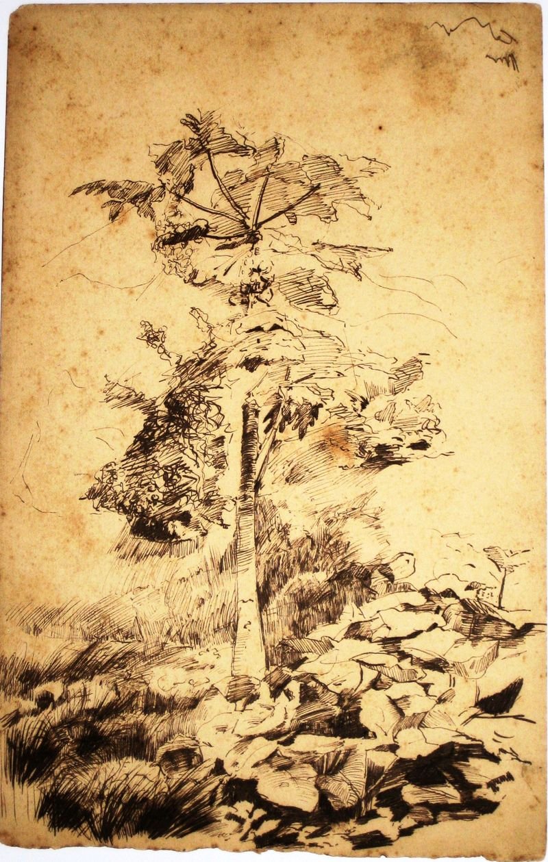 Papaya træ af Eliseu Visconti