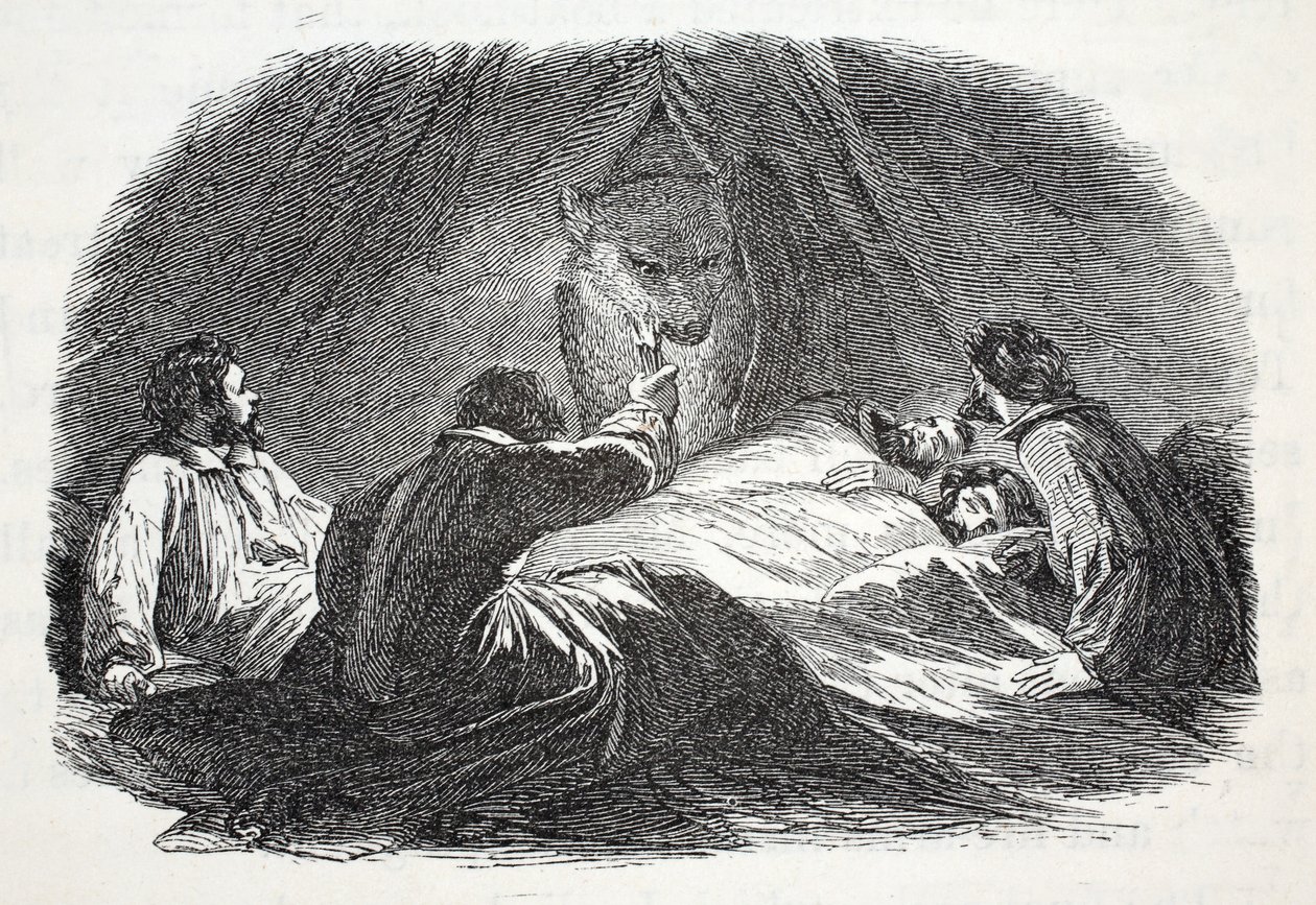 The Bear in Camp, illustration fra 