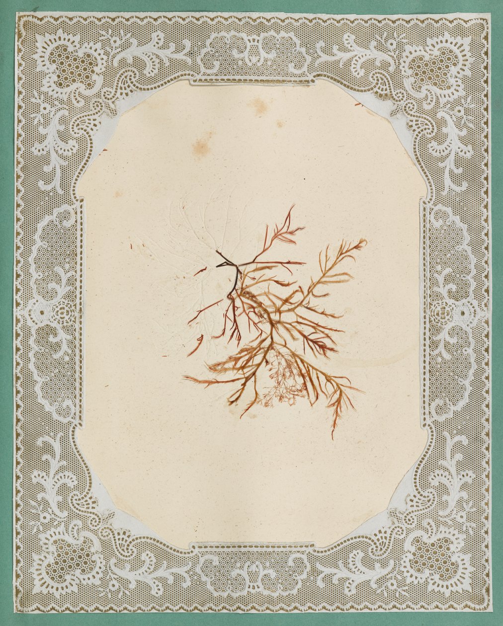 Tang af Eliza A. Jordson
