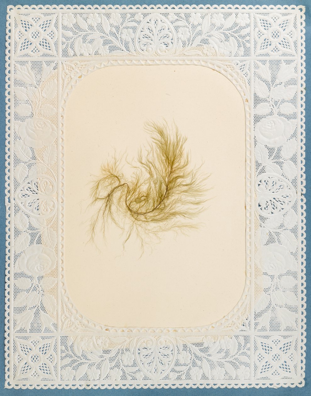 Tang af Eliza A. Jordson