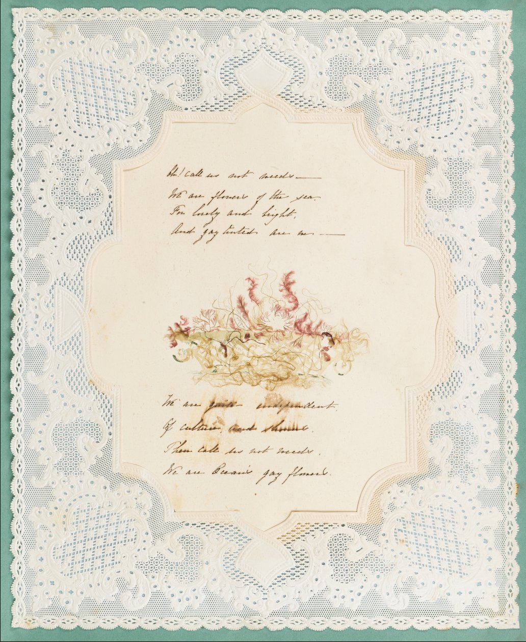 Tang af Eliza A. Jordson