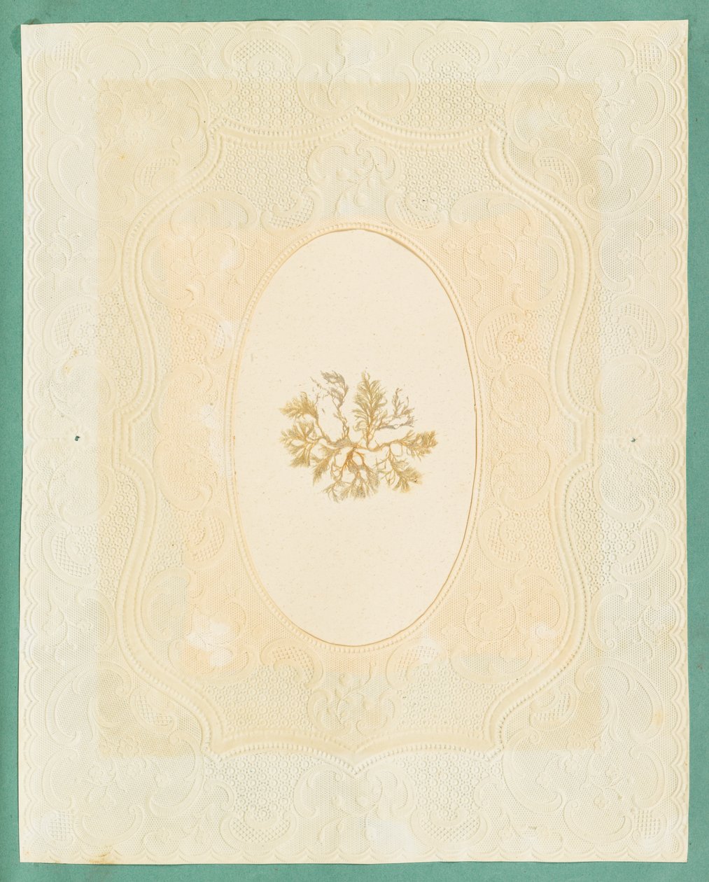 Tang af Eliza A. Jordson