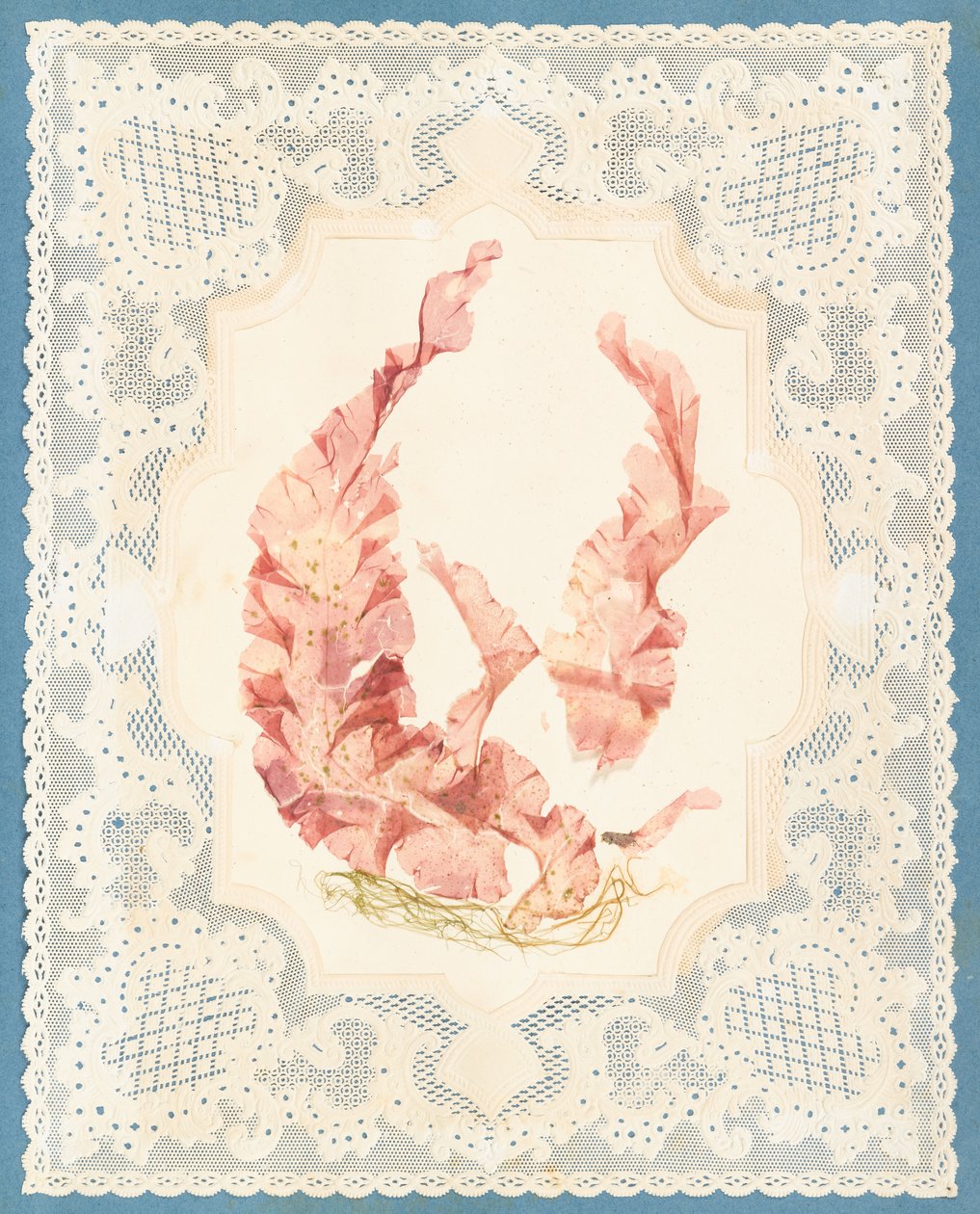 Tang af Eliza A. Jordson